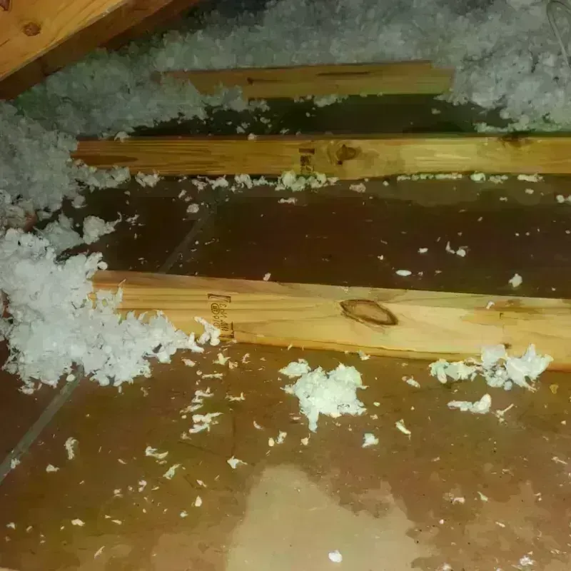 Attic Water Damage in Lawndale, CA