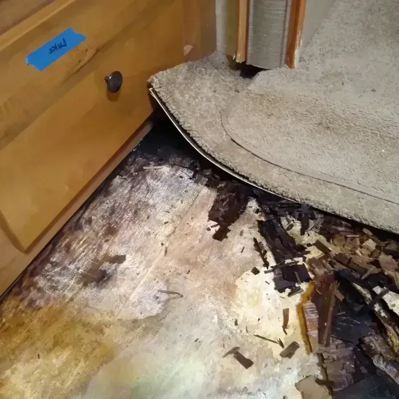 Wood Floor Water Damage in Lawndale, CA